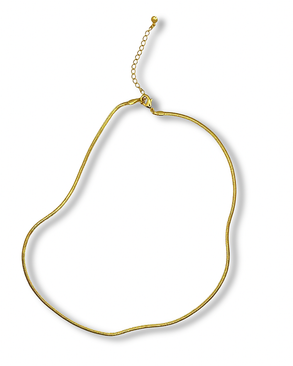 Colar Snake Dourado