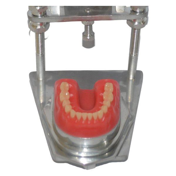 Articulador de Metal Typodont - Tecnident