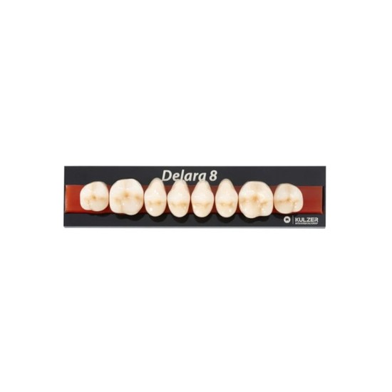 Dente Delara 8 Posterior Superior - Kulzer