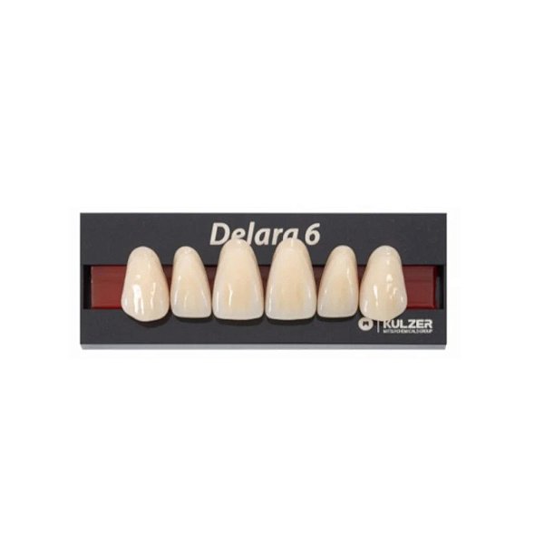 Dente Delara 6 Anterior Superior - Kulzer