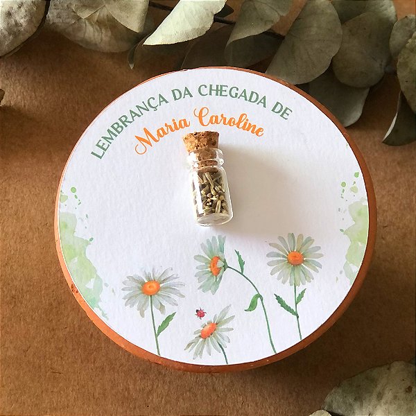 Card e Mini Vidro com Sementes | Arte Margaridas