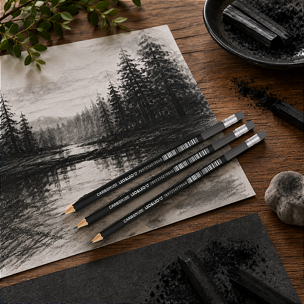 Lápis Grafite 3B com Borracha Carbon