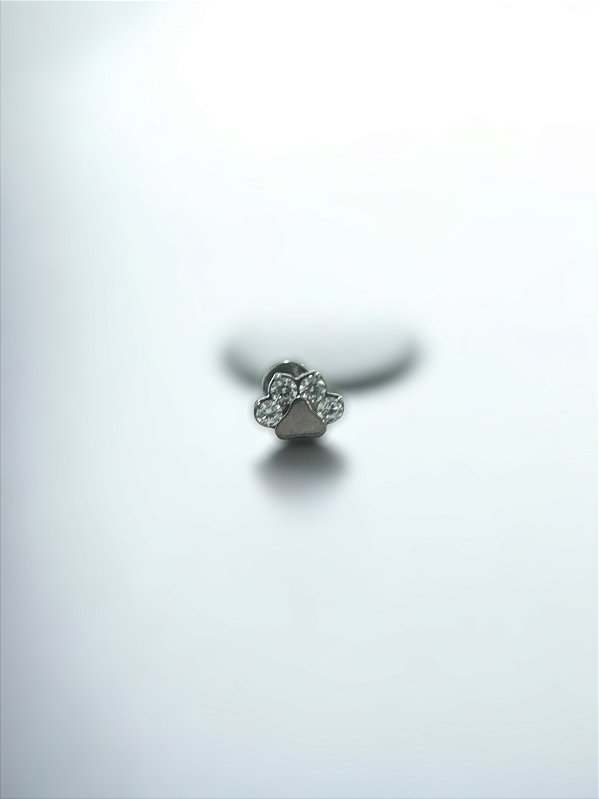 Labret Patinha Zircônias Titânio