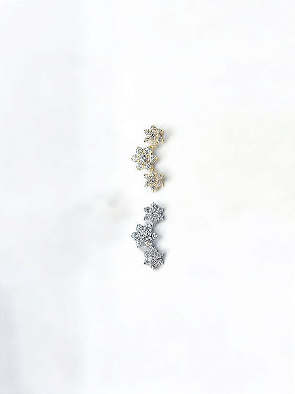 Cluster Flores Mix Zircônias Titânio