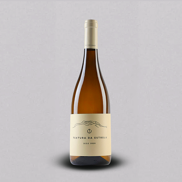 TEXTURA DA ESTRELA BRANCO 2020