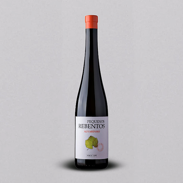 PEQUENOS REBENTOS ALVARINHO 2022