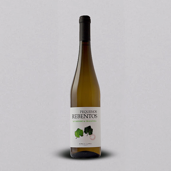 PEQUENOS REBENTOS ALVARINHO E TRAJADURA 2022