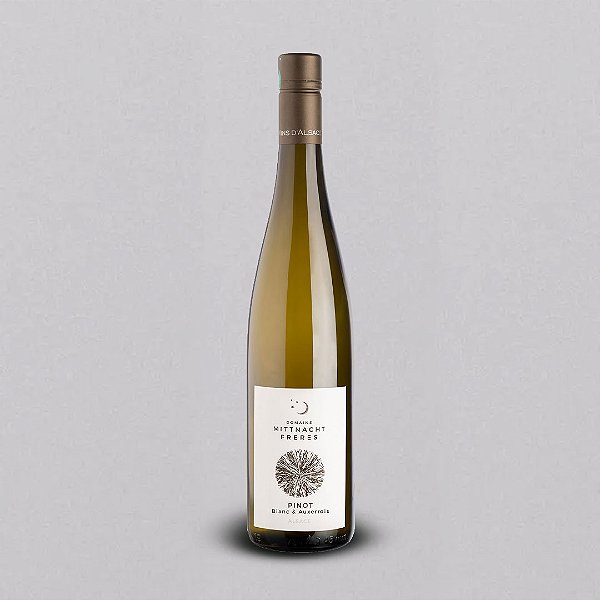 PINOT BLANC & AUXERROIS 2022