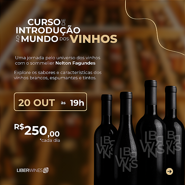 Curso Mundo dos Vinhos DIA 1