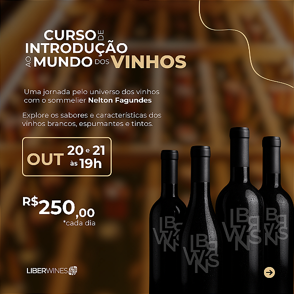 Curso Mundo dos Vinhos (completo 2 dias)