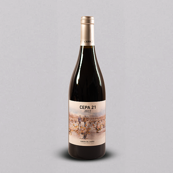VINHO TINTO CEPA 21