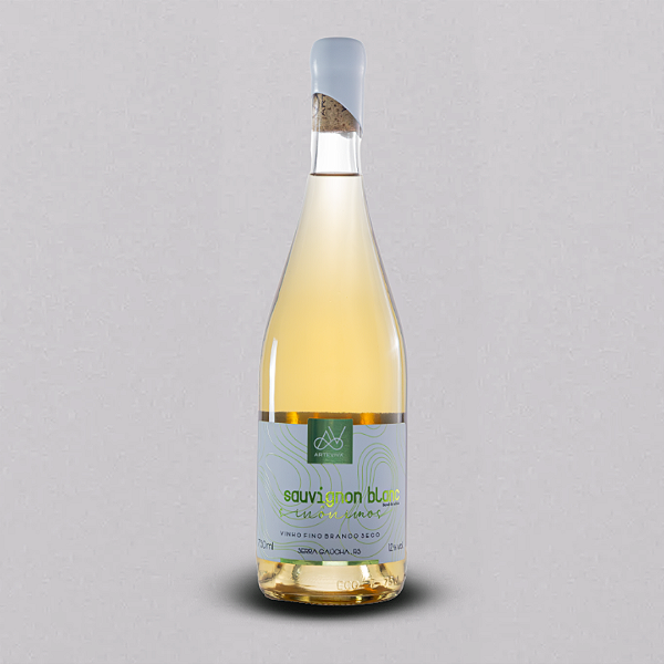 VINHO BRANCO SINÔNIMOS SAUVIGNON BLANC - 750ML
