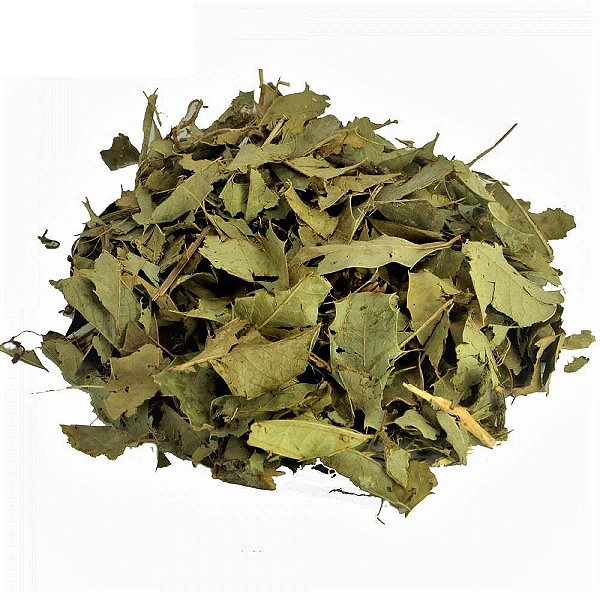 Chá Espinheira Santa 100g