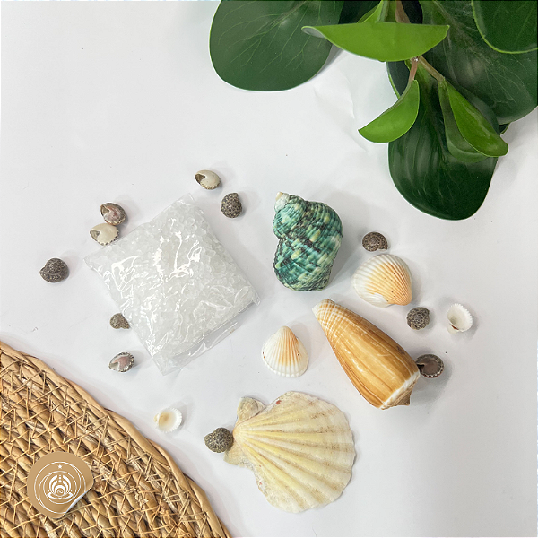 Kit de Conchinhas Consagradas para Iemanjá. Limpeza, proteção e ritual de entrega à Mãe das Águas.