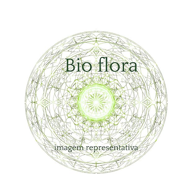 Workshop - Bioflora  - Lançamento
