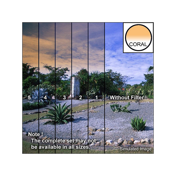 Tiffen Filtro Graduado Coral 3 4x5.65 (Borda Dura, Vertical)