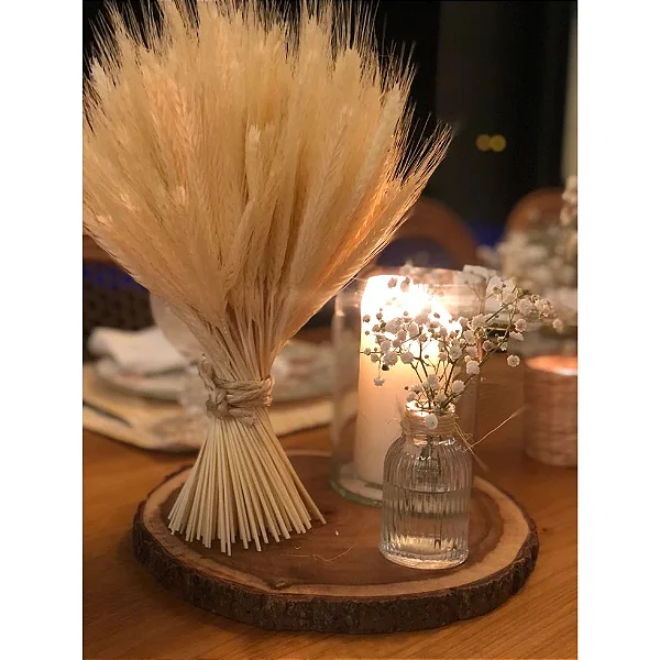 100 Hastes Trigo Natural Seco Desidratado Plantas para Decoração de Casa, Casamento, Escritório, Cozinha, Sala De Estar