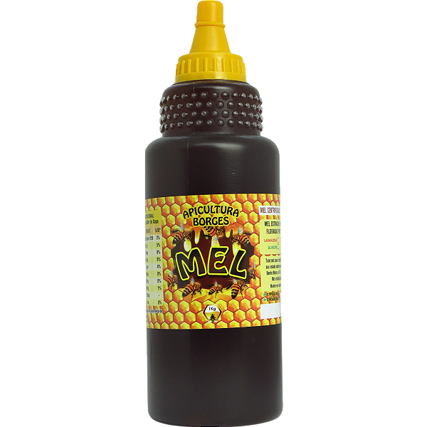 Mel Puro De Abelhas -  1 Kg (750ml) - Florada Assa-Peixe