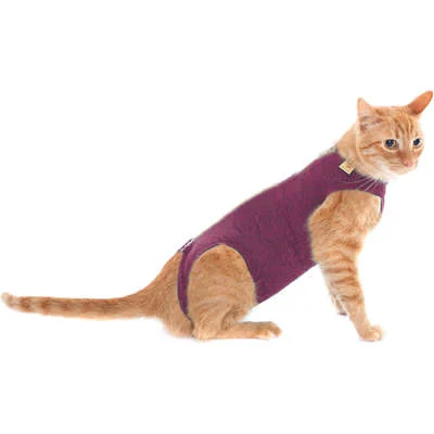 Roupa Pós Castração Pet Med Duo Dry Rosa Para Gatos Tam.4