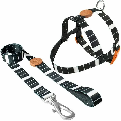 Conjunto Peitoral Tradicional e Guia Eclipse G Toh