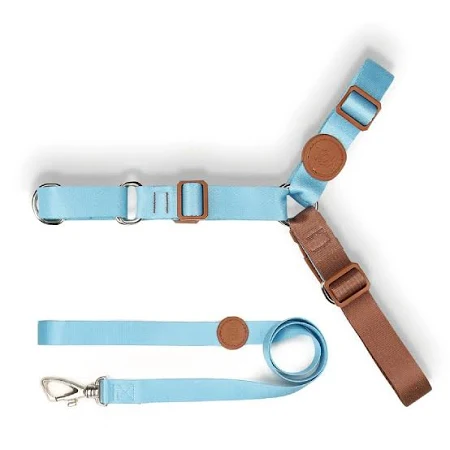 Conjunto Peitoral Antipuxão e Guia Azul M Toh