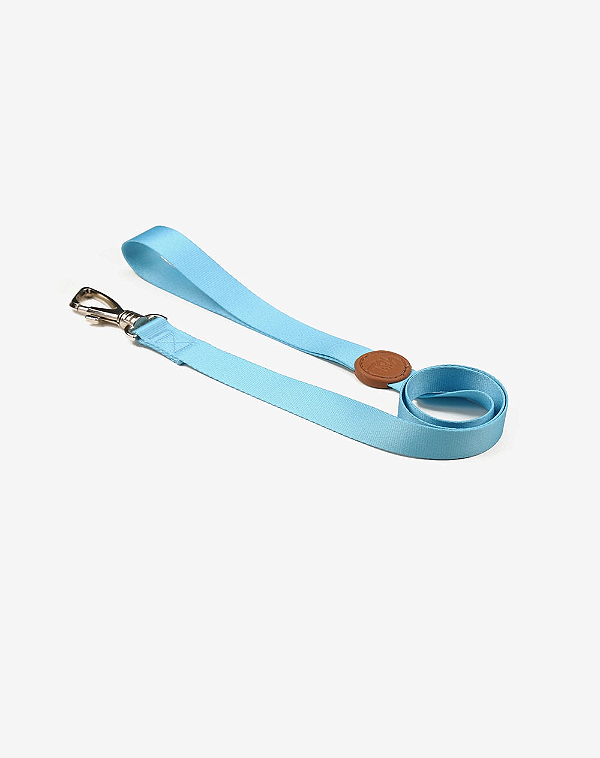 GUIA PADRAO P AZUL