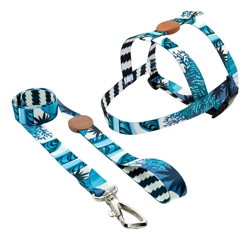 Conjunto Peitoral Tradicional e Guia Noronha GG Toh