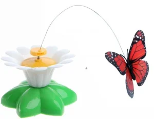 Brinquedo Cat Butterfly Superpop