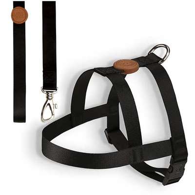 Conjunto Peitoral Tradicional e Guia Toh Outdoor Black P