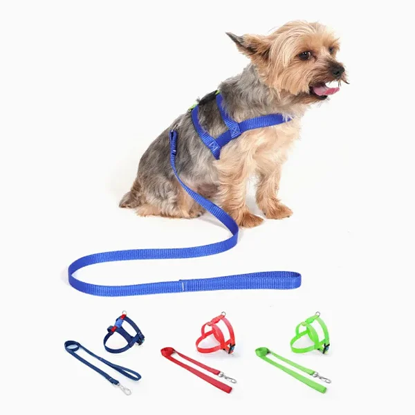 PEITORAL COM GUIA PARA CÃES ANIMAL ZEN