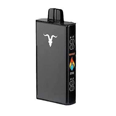 Ignite 25.000 Puffs Grape Ice (V250)