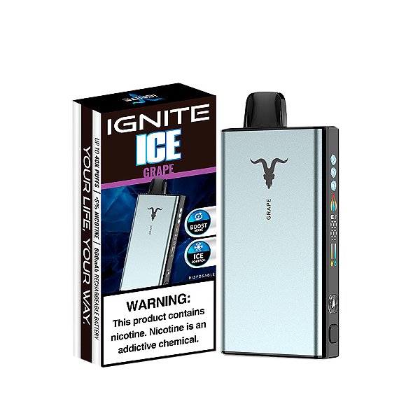 Ignite 40.000 Puffs - Grape Ice - (V400 Ice - Prata)