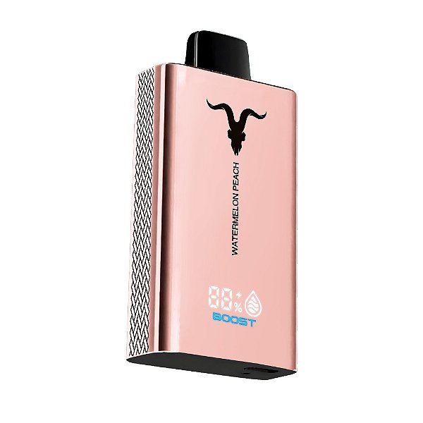 Ignite 12.000 Puffs Watermelon Peach (V120 Pro)  - Rose