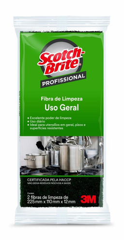 Esponja 3m Scotch Brite Profissional Pacote X 2
