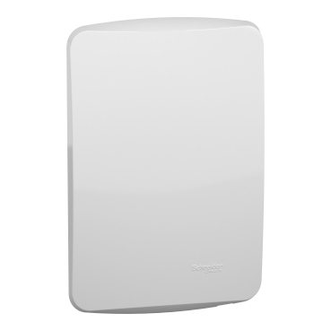 Placa 4x2 Cega Com Suporte Miluz Schneider Electric