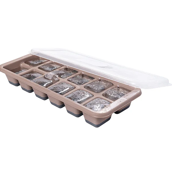 Forma Para Gelo Com Tampa e Borracha Plasutil