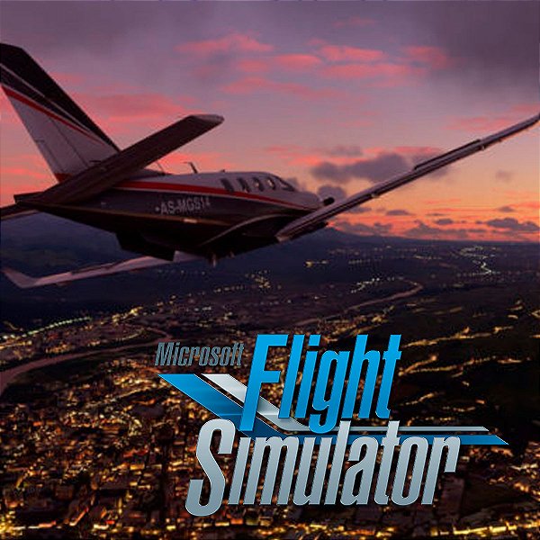 Microsoft Flight Simulator