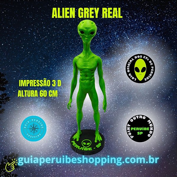 ET Grey Real Verde face humana 60 cm fabricado com impressão 3 D em Peruíbe