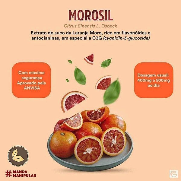 Morosil Redução de Gordura Abdominal e Controle de Peso Galena