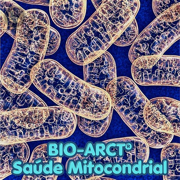 Bio-Arct Energia Celular, Antioxidante e Performance Mitocondrial