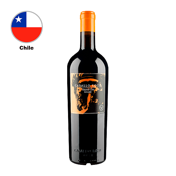 Valdivieso Caballo Loco Grand Cru - Limarí