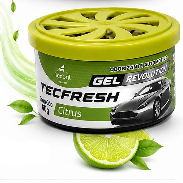AROMATIZANTE GEL CHEIRINHO CITRUS PERFUMADOR CARRO TECFRESH