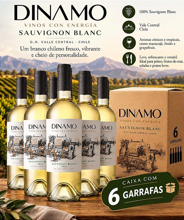 Dínamo Sauvignon Blanc: Caixa com 6 unidades