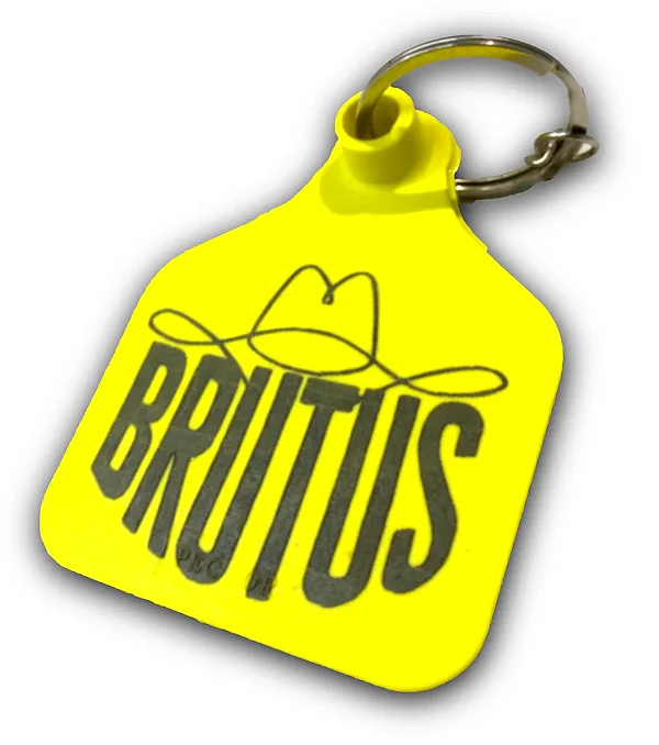 CHAVEIRO BRINCO DE BOI