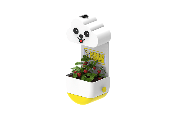 Vaso Chuvinha - Minha Primeira Plantinha Kids Amarelo - Cachorrinho