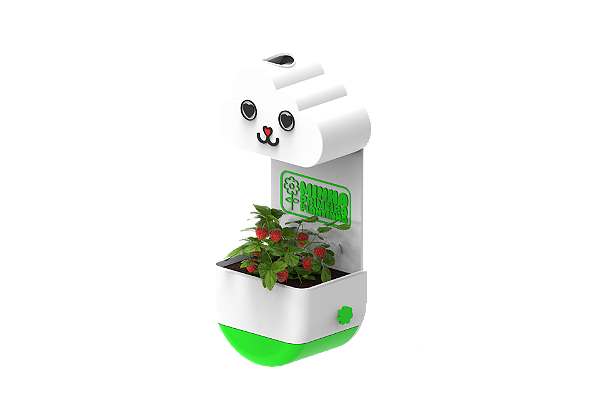 Vaso Chuvinha - Minha Primeira Plantinha Kids Verde - Gatinho