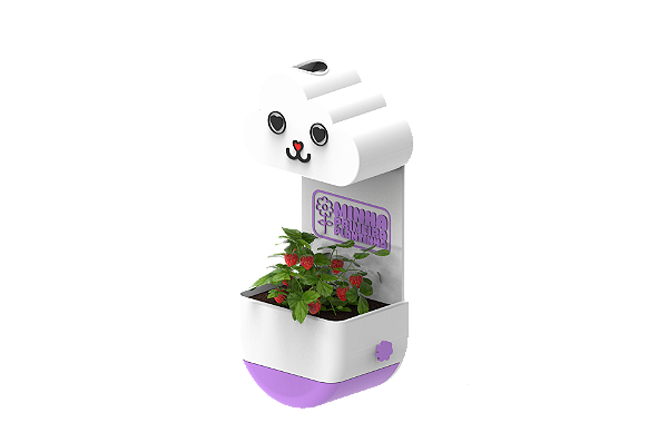Vaso Chuvinha - Minha Primeira Plantinha Kids Lilás - Gatinho