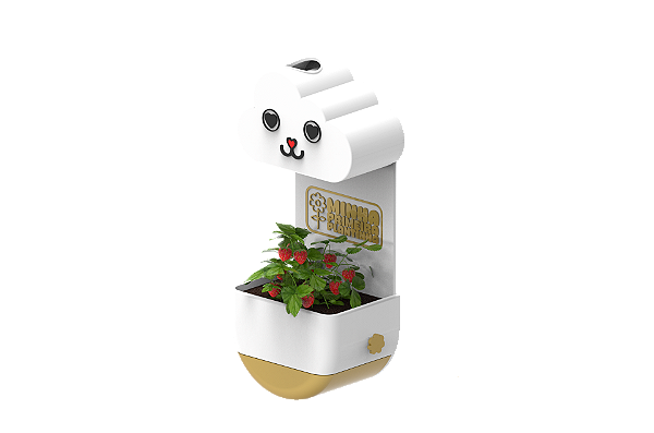 Vaso Chuvinha - Minha Primeira Plantinha Kids Dourado - Gatinho
