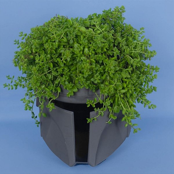 Cachepot de Plástico Para Planta - Mandalorian - Star Wars - 29cm - 1 unidade - Disney Original - Usare