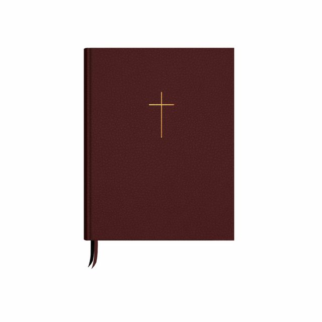 Bíblia Journaling | Cruz Vinho | NVI | Letra Normal